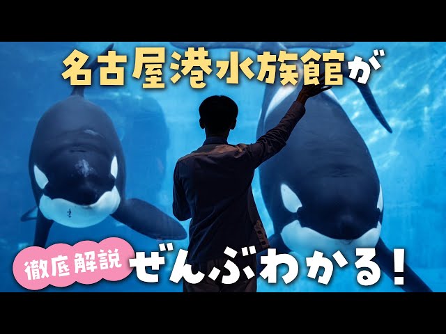 sddefault.jpg?v=67b01b21