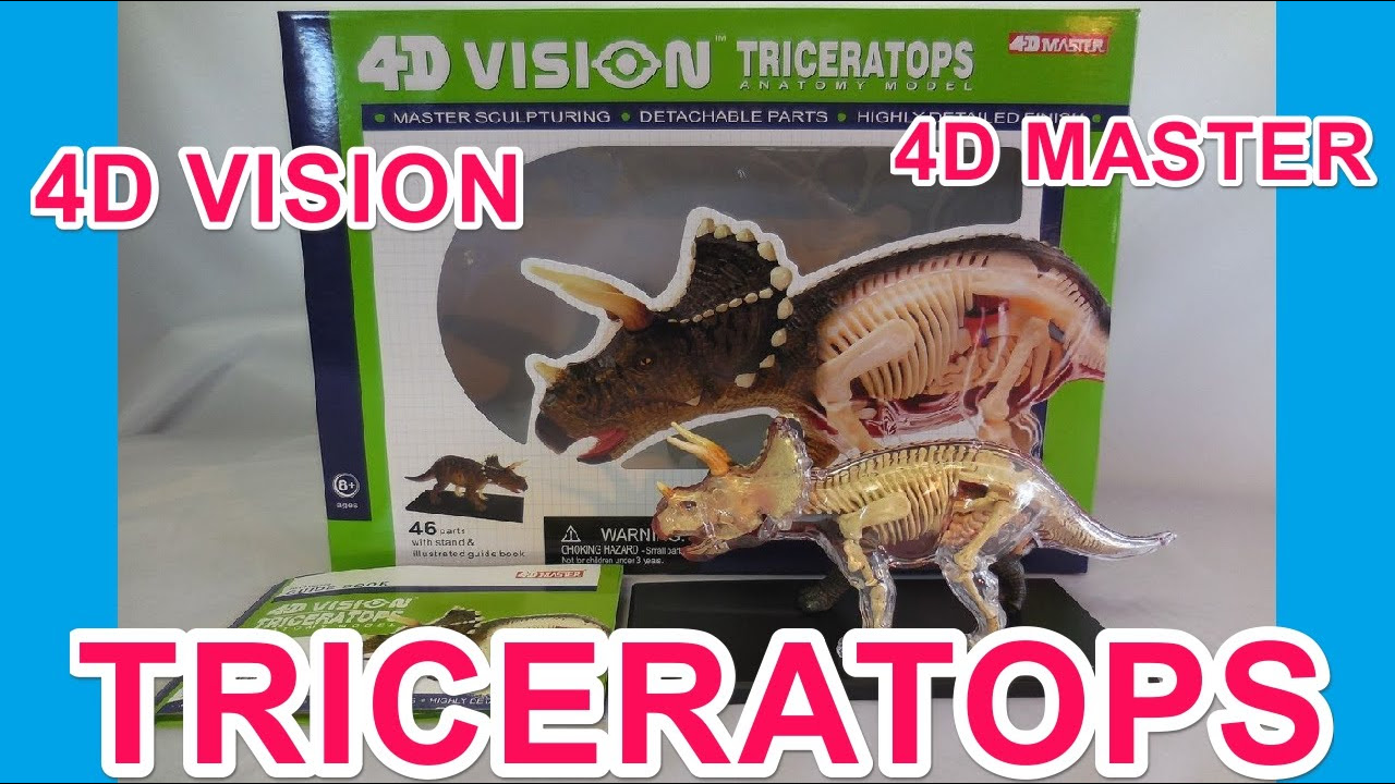 4D VISION,Triceratops,4D MASTER,トリケラトプス,立体パズル,puzzle