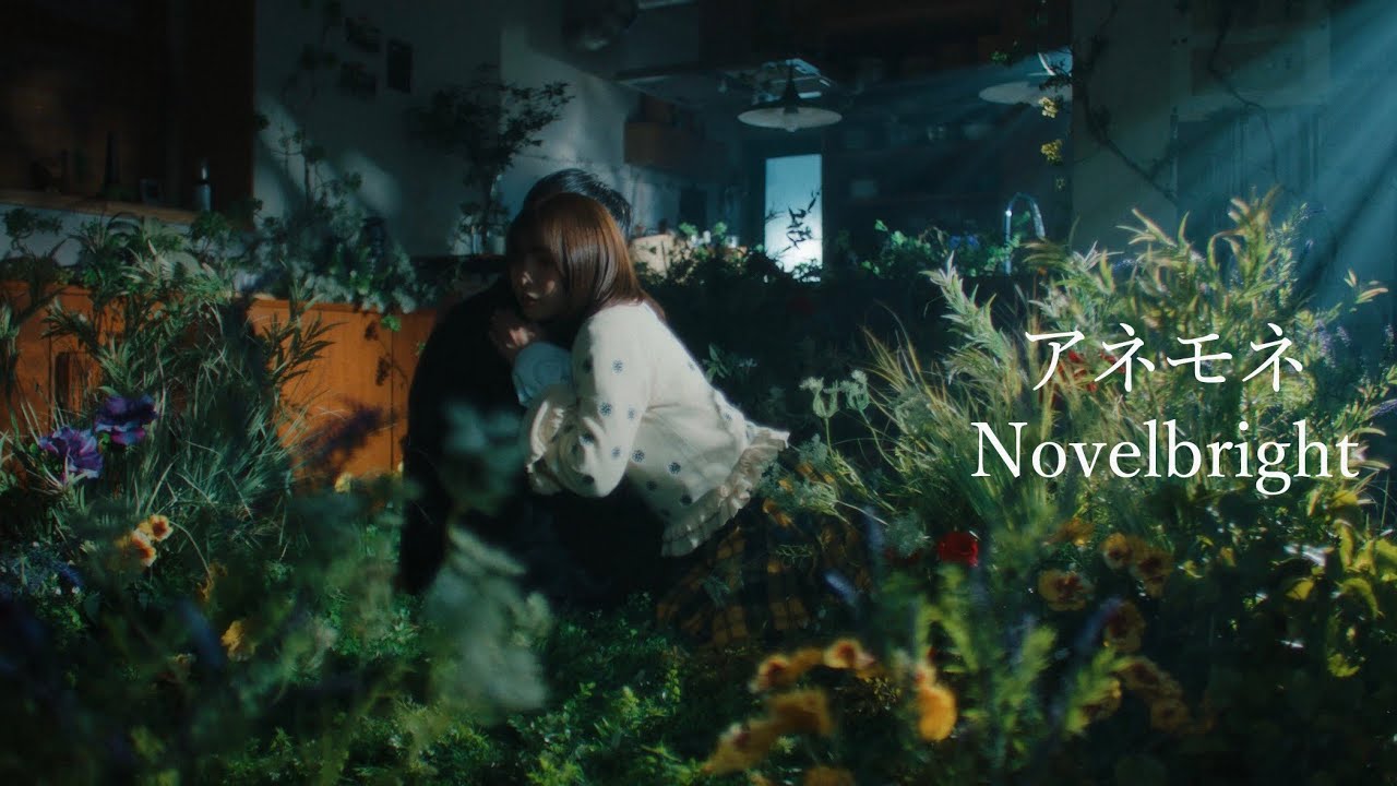 Novelbright - アネモネ [Official Audio] - YouTube