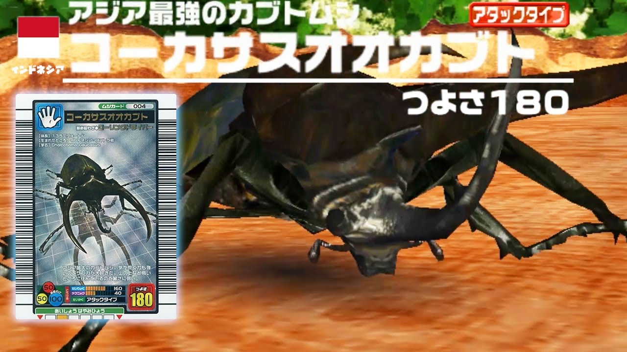アジア最強のカブトムシ コーカサスオオカブト - 甲虫王者ムシキング