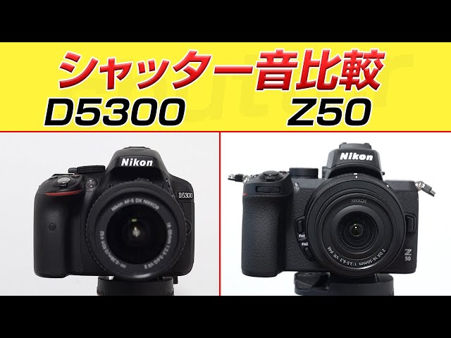 Nikon D5300とNikon Z50シャッター音比較 shutter sound - YouTube