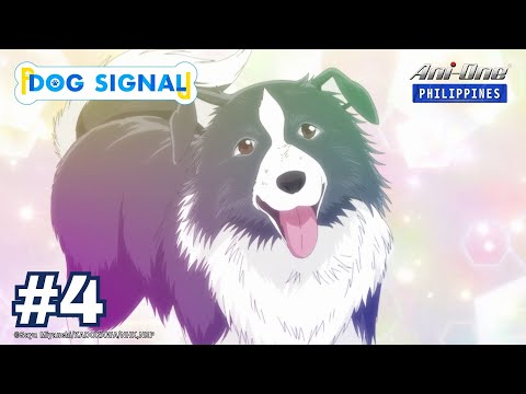 Dog Signal - YouTube