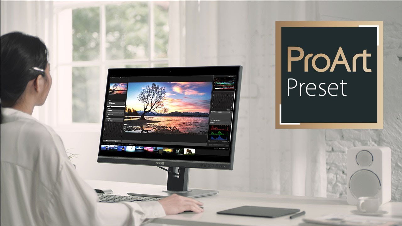 ASUS ProArt 24