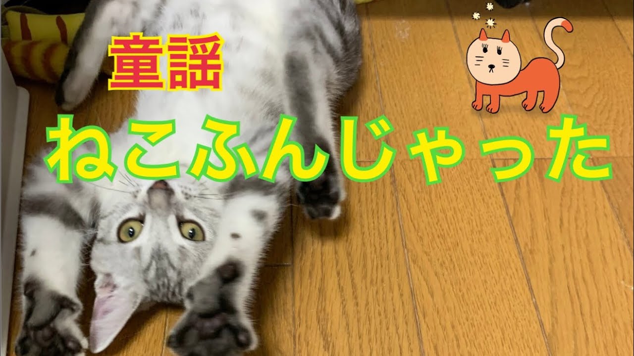 ねこふんじゃった】うた 山野さと子 - YouTube