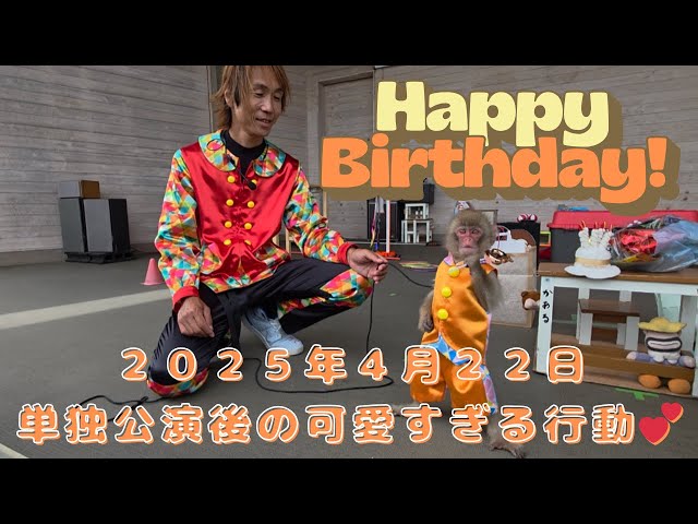 April 22nd, 2025: Introducing a cute scene from Kaaru-kun's