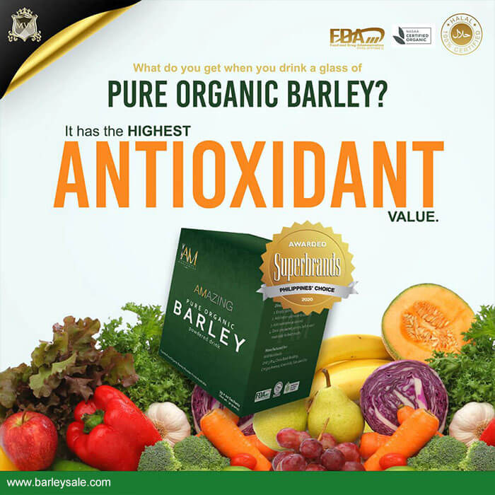 Original Barley 3 BOXES - BARLEY SALE