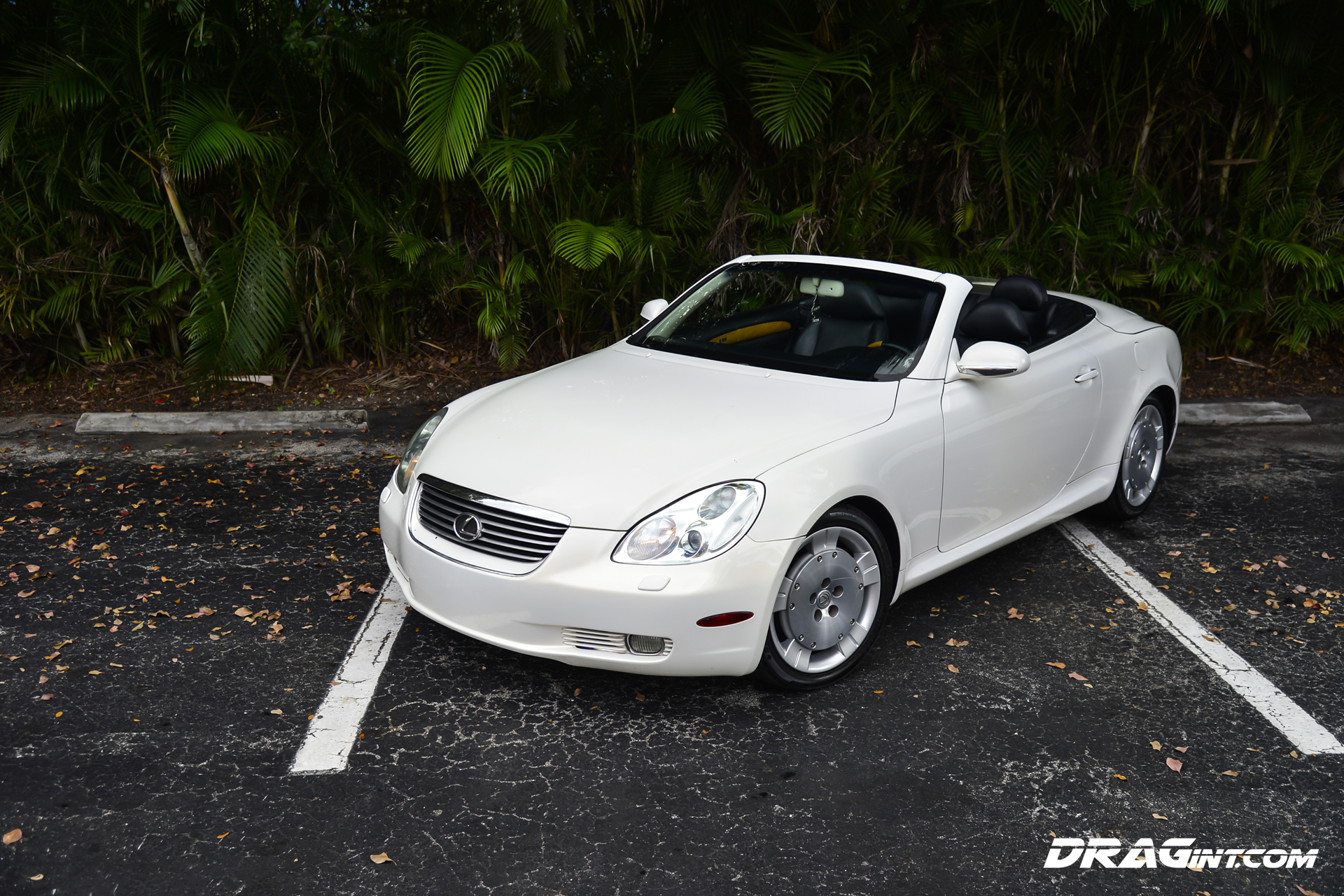 dragintsc4302jz001.jpg?ssl=1