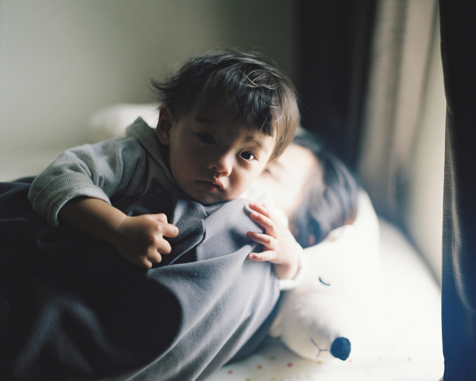 作例レビュー】PENTAX 67｜ペンタックスのフィルムカメラ｜#わたしの