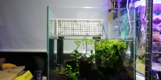 滝のあるアクアテラリウム水槽の作り方 30cmキューブ水槽 | アクアク