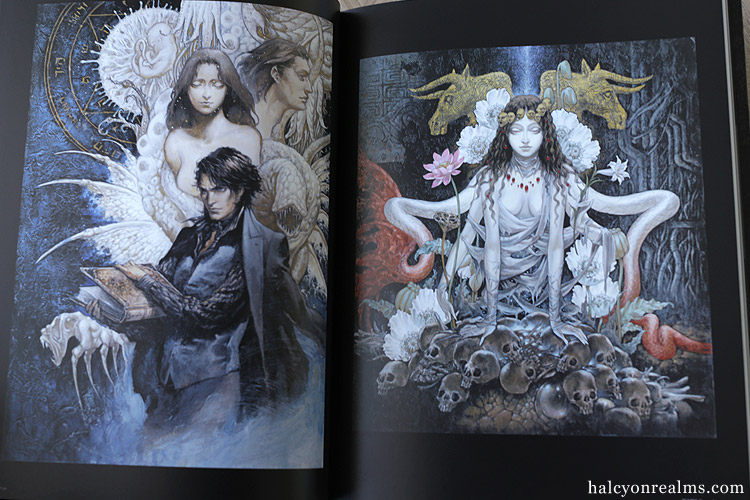 Santa Lilio Sangre - Ayami Kojima Artworks Book Review - Halcyon