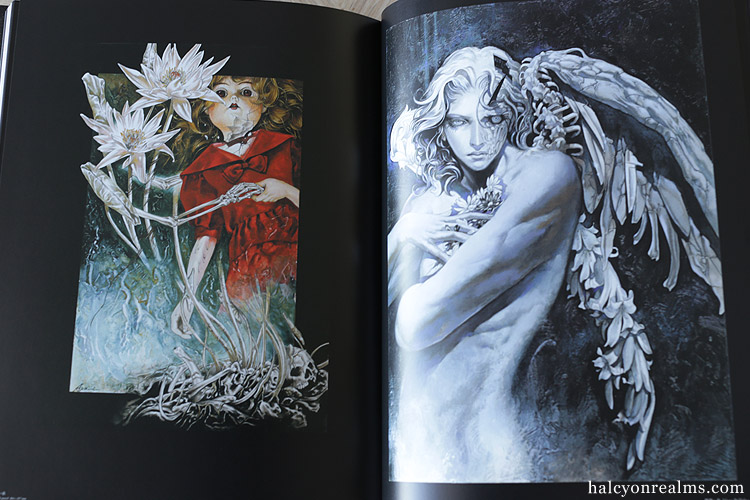 Santa Lilio Sangre - Ayami Kojima Artworks Book Review - Halcyon