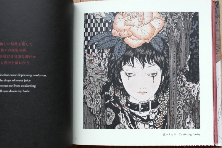 Vampire's Box / Takato Yamamoto Art Book Review - Halcyon Realms
