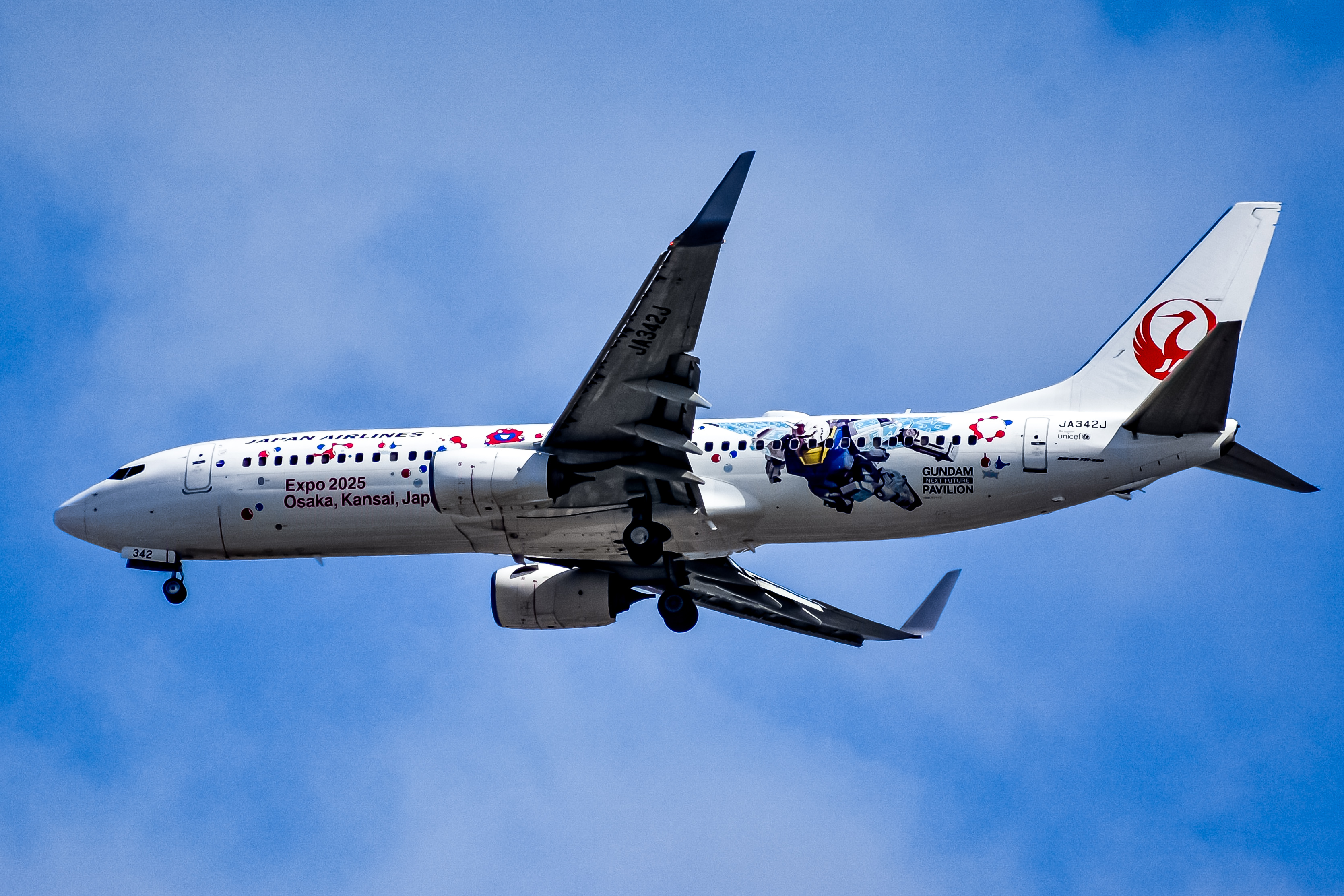 JAL特別塗装機 | OYAJI PHOTO CLUB