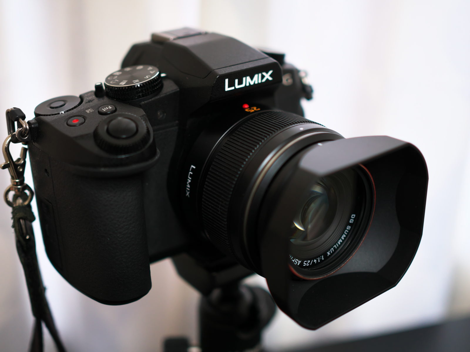 LEICA 25mm/F1.4 ファーストレポート | 外観や仕様の紹介と作例