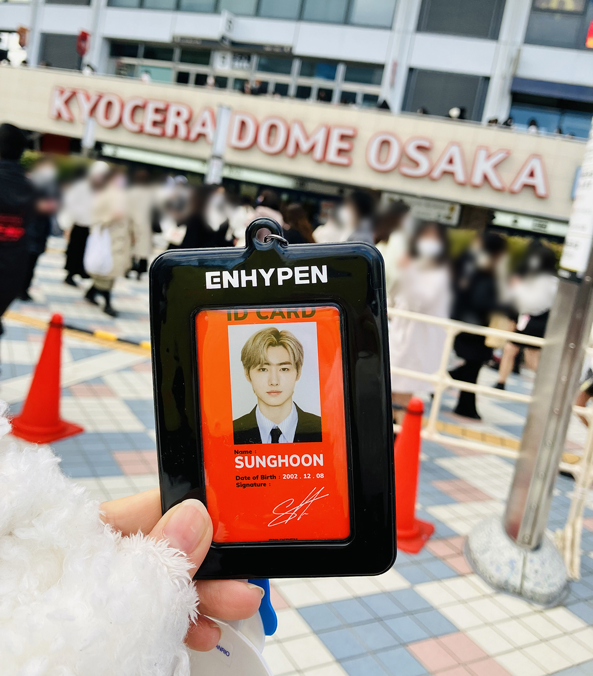 ENHYPEN初のドーム公演 in 京セラドーム大阪 現場レポート