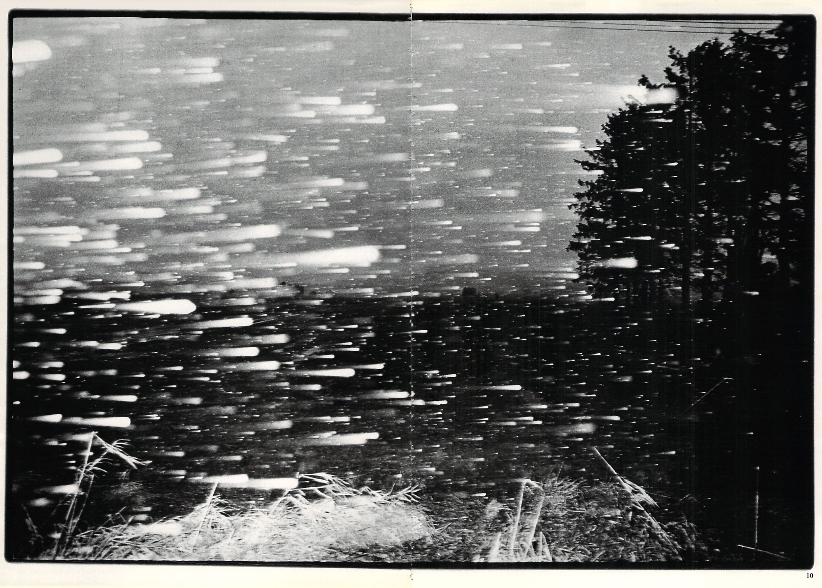 Ravens 5, 1979 - Masahisa Fukase Archives