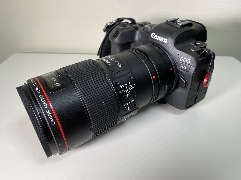 レビュー】キヤノンEF100mm F2.8Lマクロ IS USM純正レンズがおすすめ