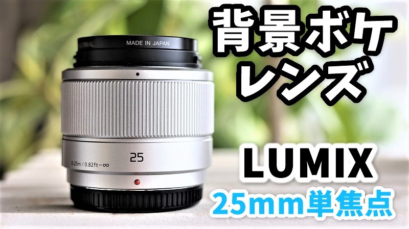 レビュー】LUMIXユーザーに最適！初心者でも背景ボケ写真が撮れる神