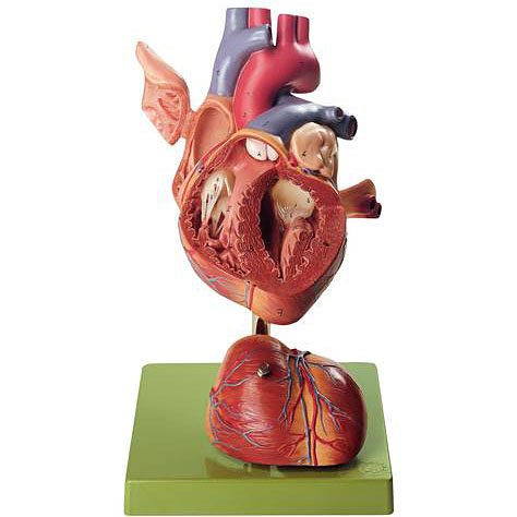 HS5.jpg?resize=150,150&ssl=1