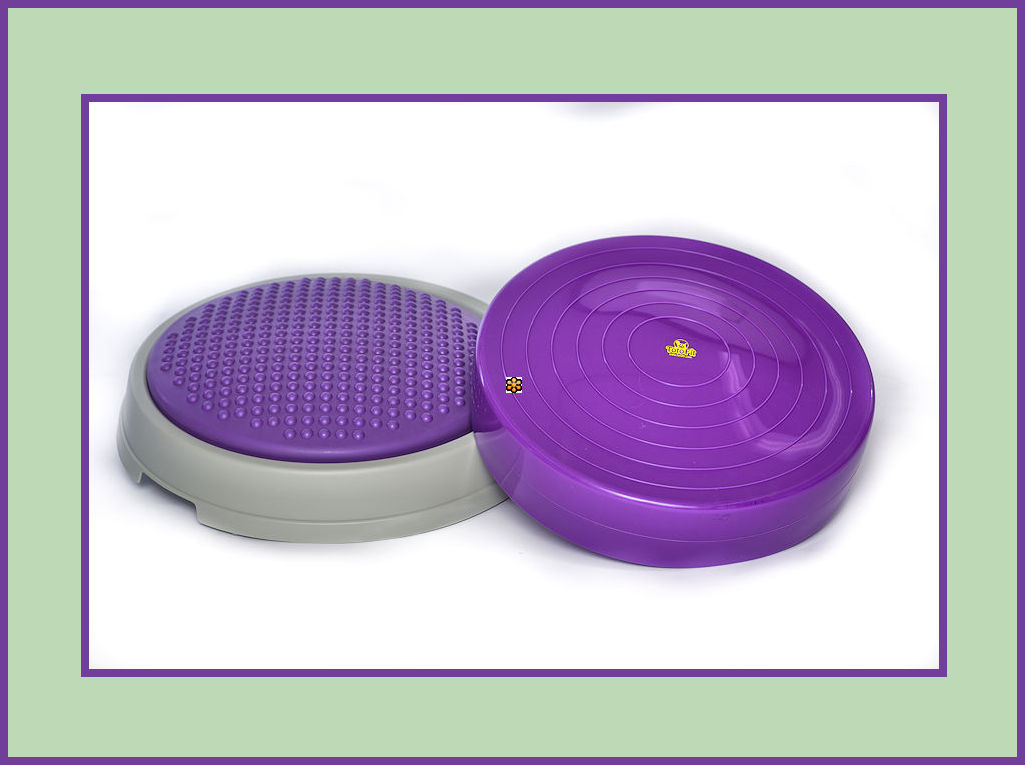 K-9 KORE BISkit/DISKit Package – TotoFit