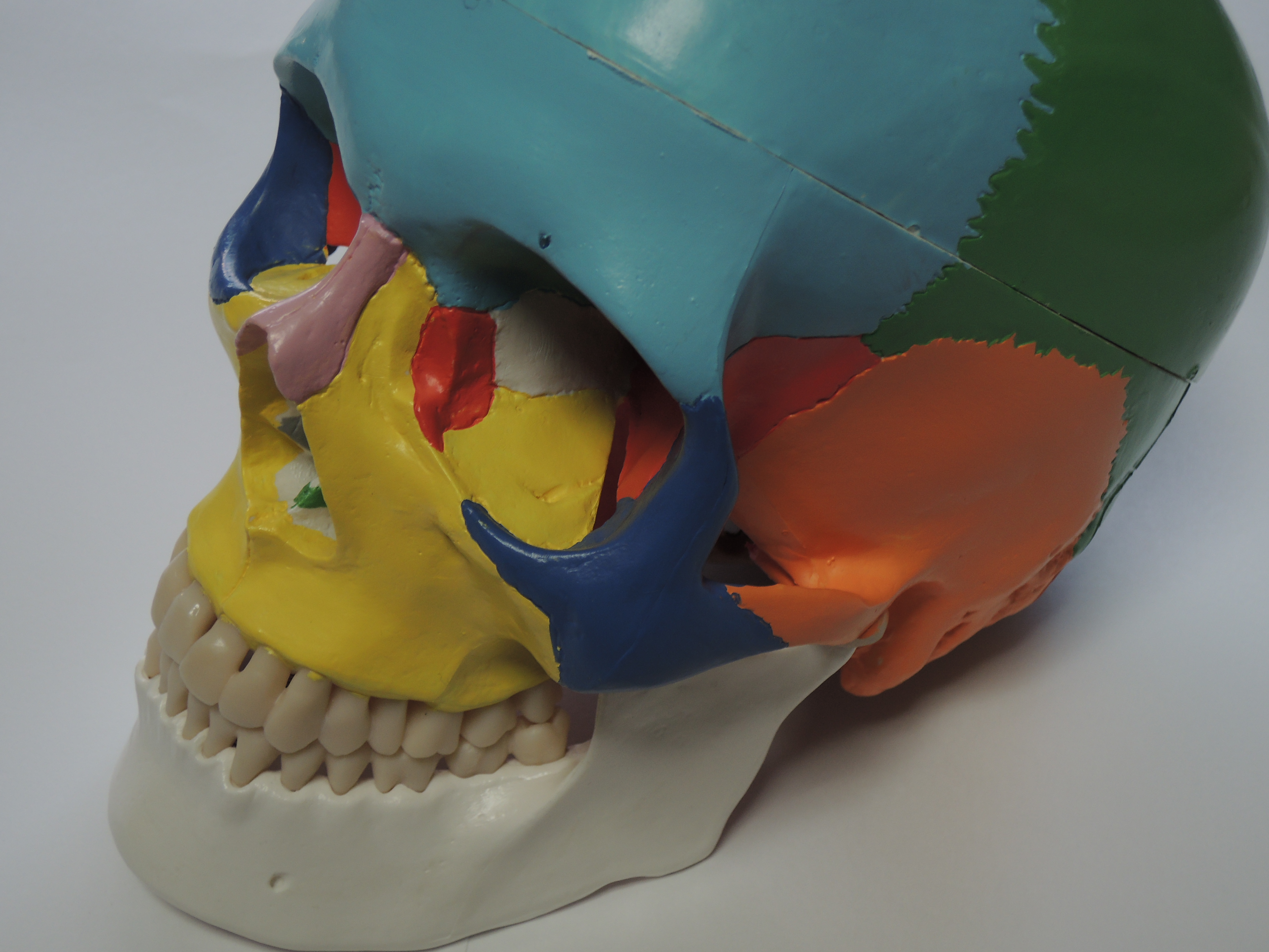 dscn4412.jpg?fit=1200,900&ssl=