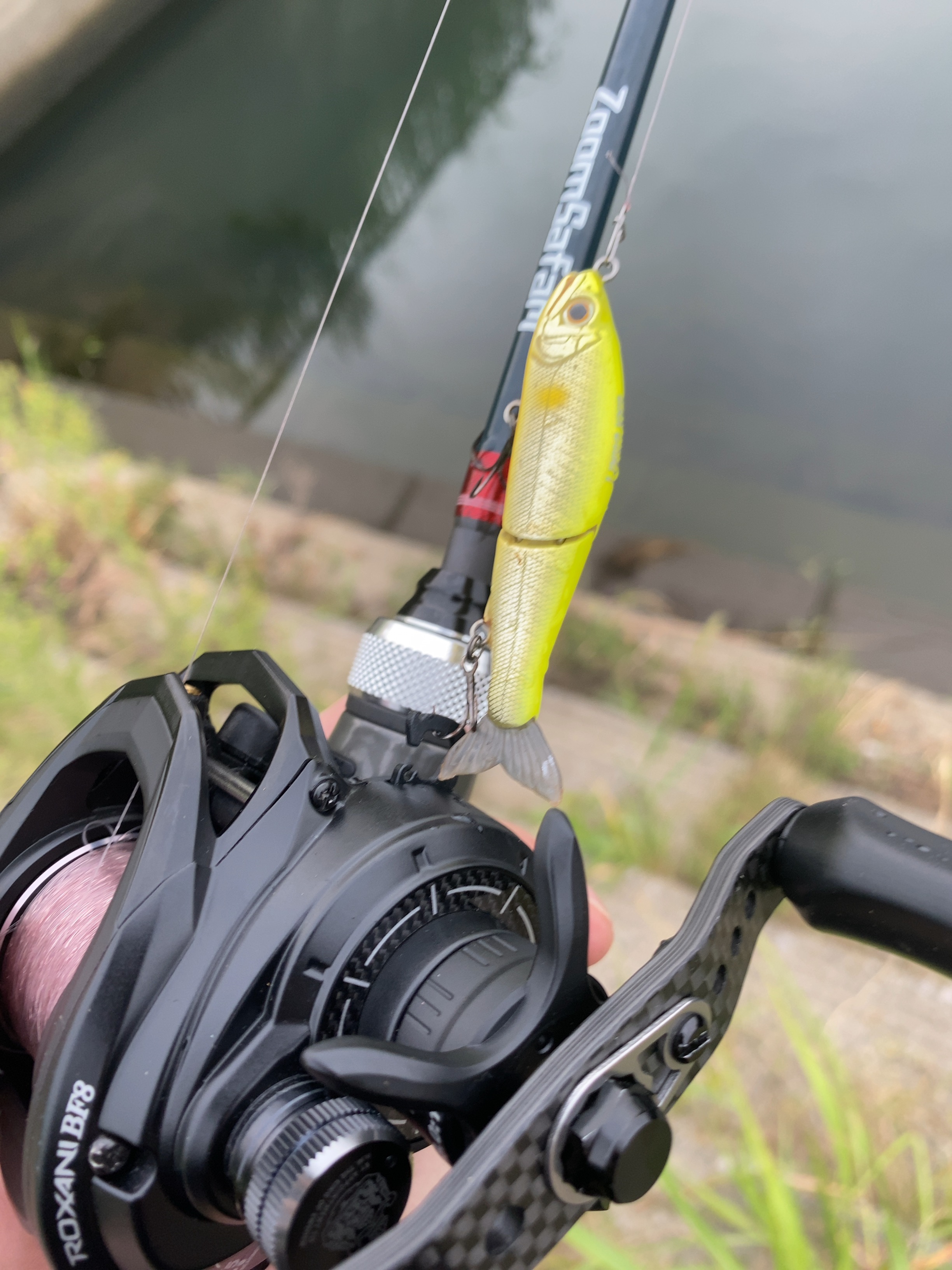 パックロッド】ズームサファリ565Lの投げ感レビュー【ベイトフィネス