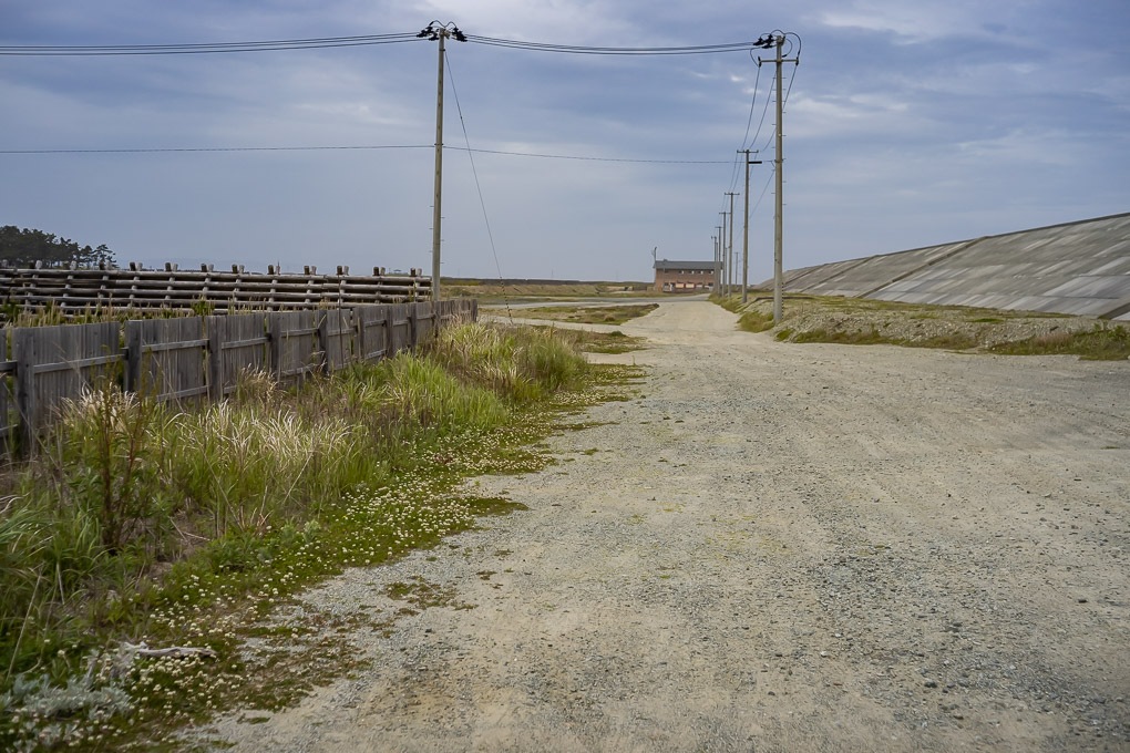 Retina-Ysarex 50mm F2.8 - 写真備忘録