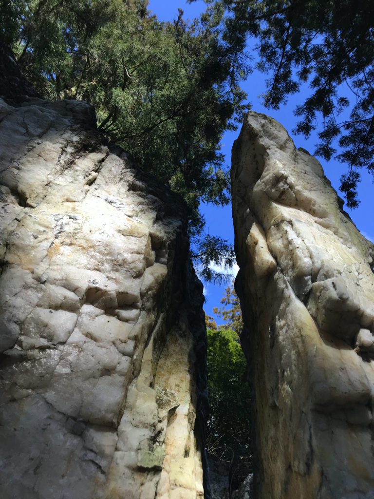 鹿島大神宮のペグマタイト岩脈 | 目次 | I ♡ NISHITA