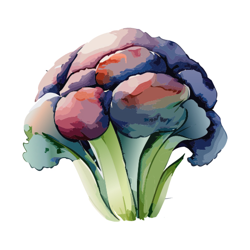 水彩で描いたブロッコリーのイラスト 無料素材 | イラストダウンロード