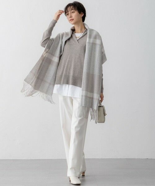 セール】 【洗える】ウールテンジク Vネック ニット （ニット