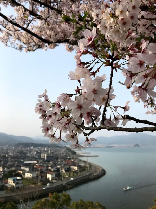 26280_1.jpg?x=1920&notupsize=1