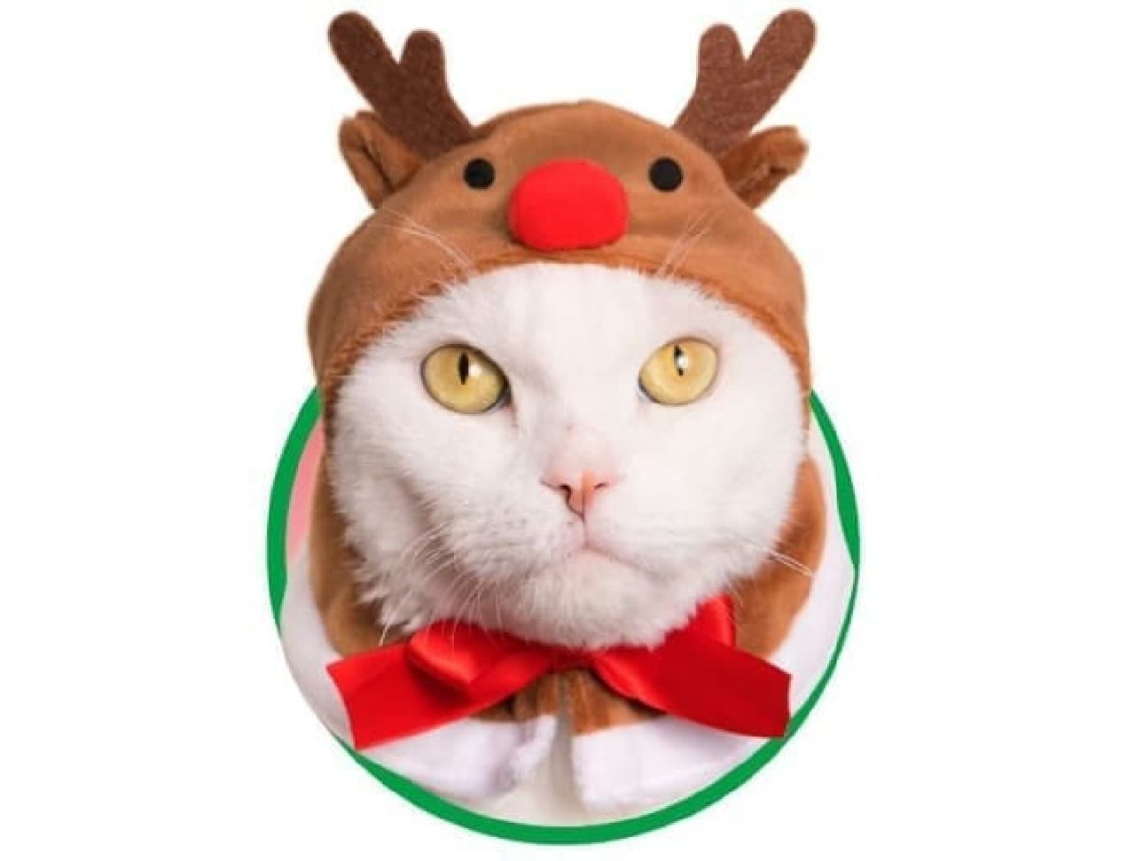 トナカイになったニャ ― カプセルトイ「ねこのかぶりものシリーズ」第