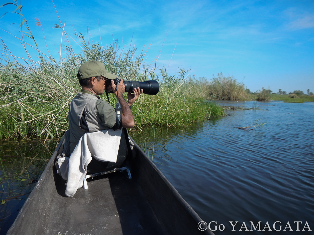 アフリカでニコン「AF-S NIKKOR 200-500mm f/5.6E ED VR」を使う：山形