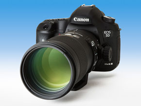 第11回 望遠マクロで迫る最短47センチの世界――シグマ「APO MACRO 180mm