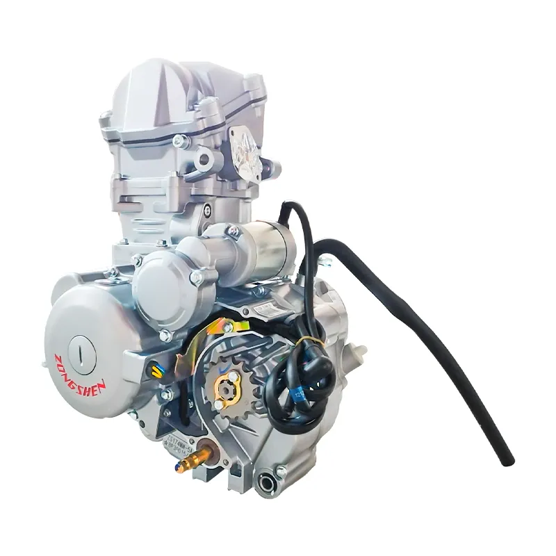 Zs174mn-5 Factory Sale 300cc Zongshen Engine 1-Cylinder 4-Stroke 4