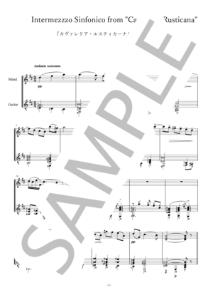 2冊TestamentThe RitualとPerpetual Flameスコア 2冊TestamentThe