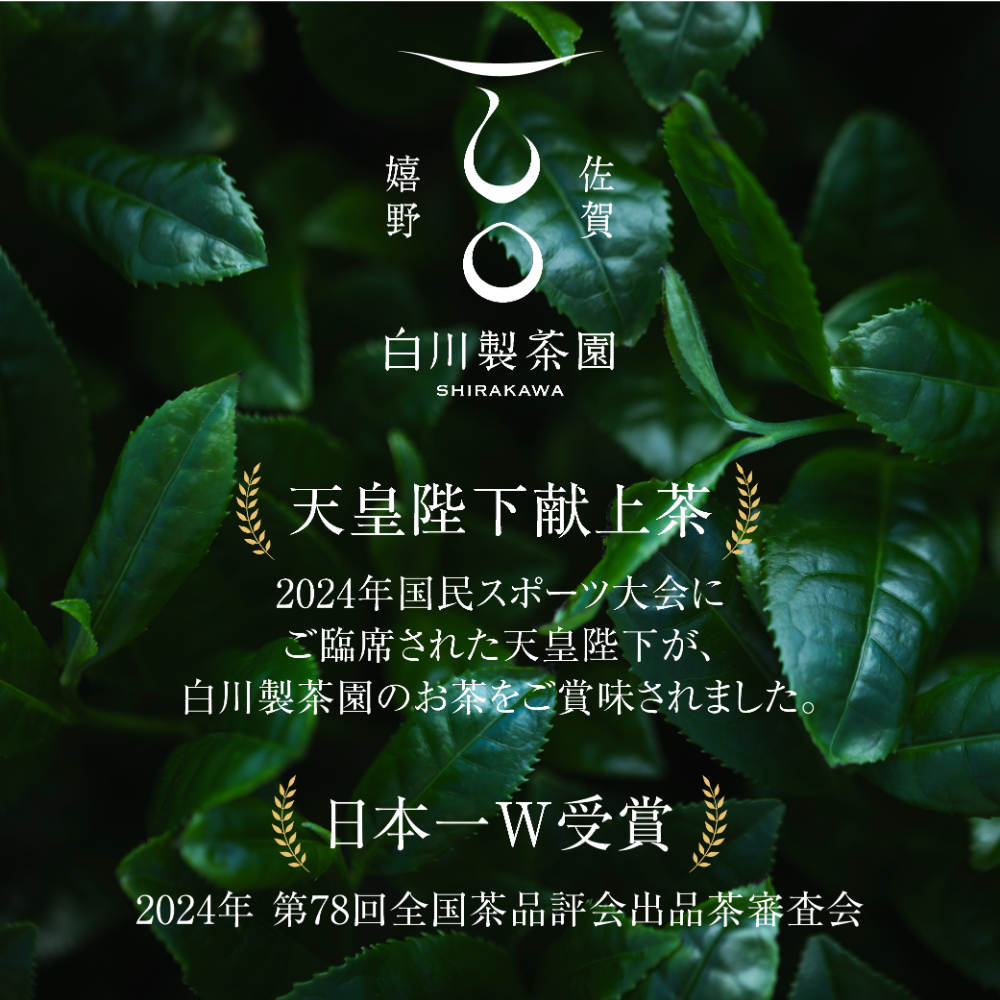 三茶葉味くらべセット | 佐賀嬉野白川製茶園