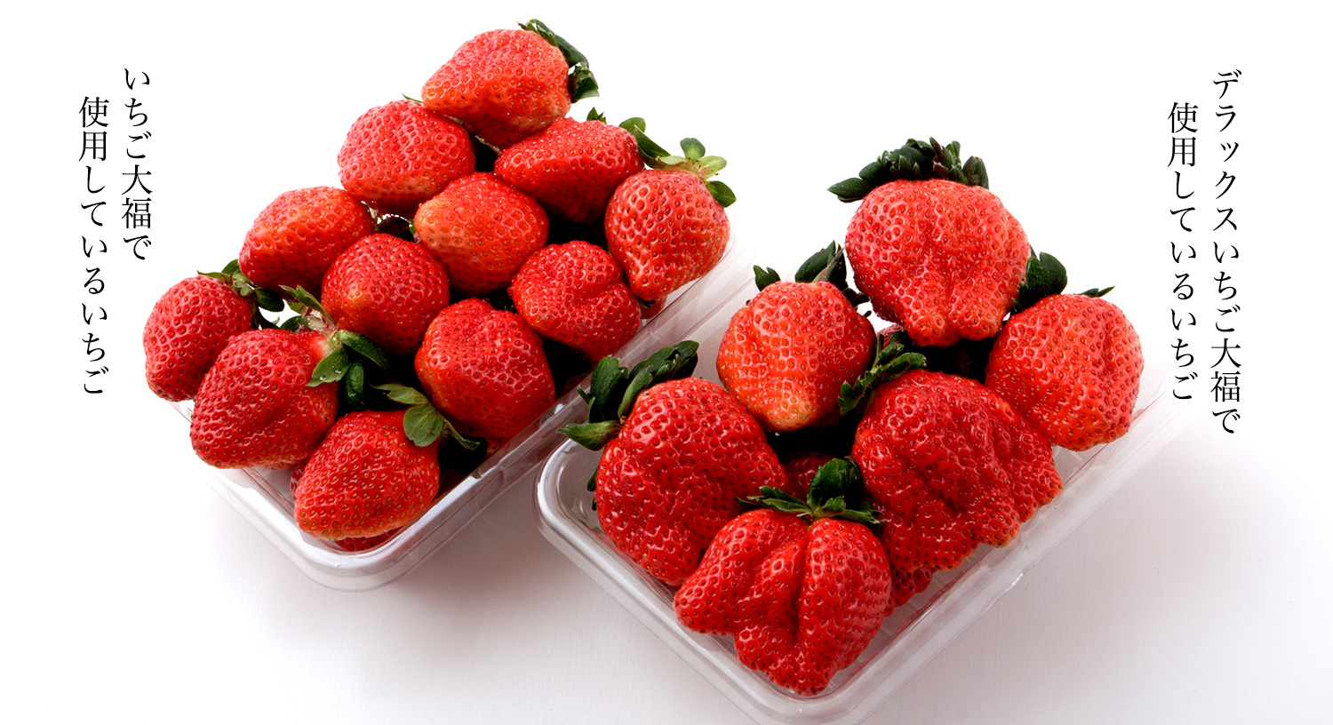 デラックスいちご大福｜冨来郁オンラインショップ｜滋賀・東近江の恵み