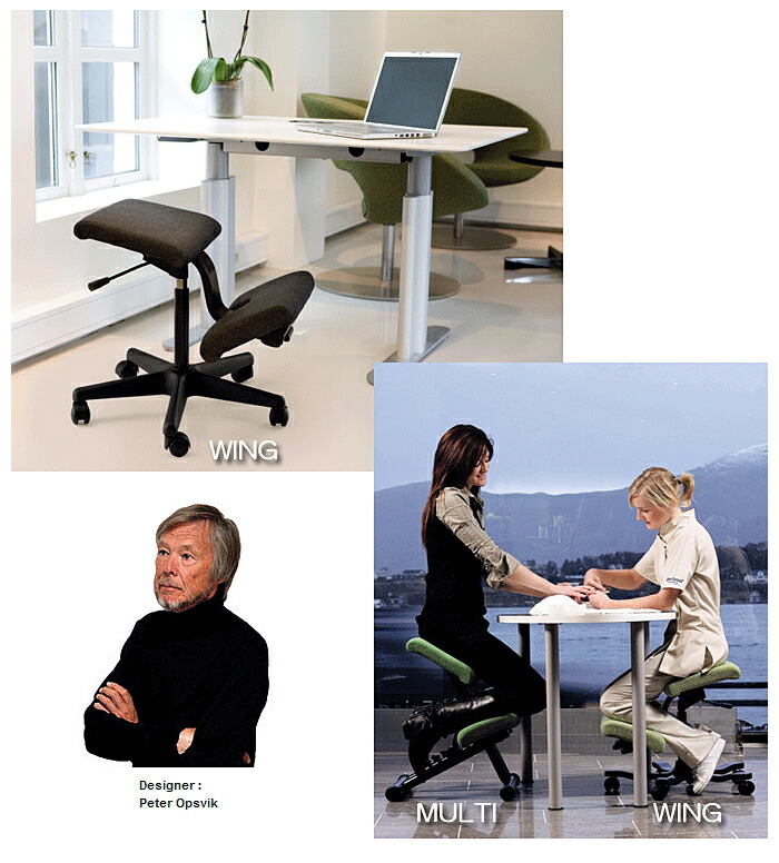 楽天市場】＼ポイント5倍／ バランスウィング ブラック バランスチェア