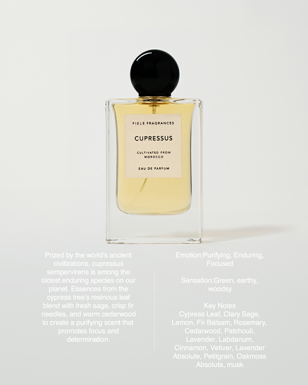 楽天市場】フィエール フレグランス FIELE FRAGRANCES 香水 メンズ