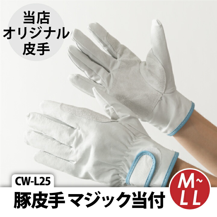 cw-l25-01re.jpg