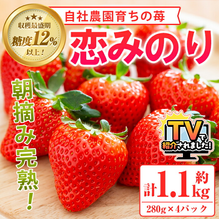 楽天市場】【ふるさと納税】＼テレビで紹介されました！／農園ガーデン