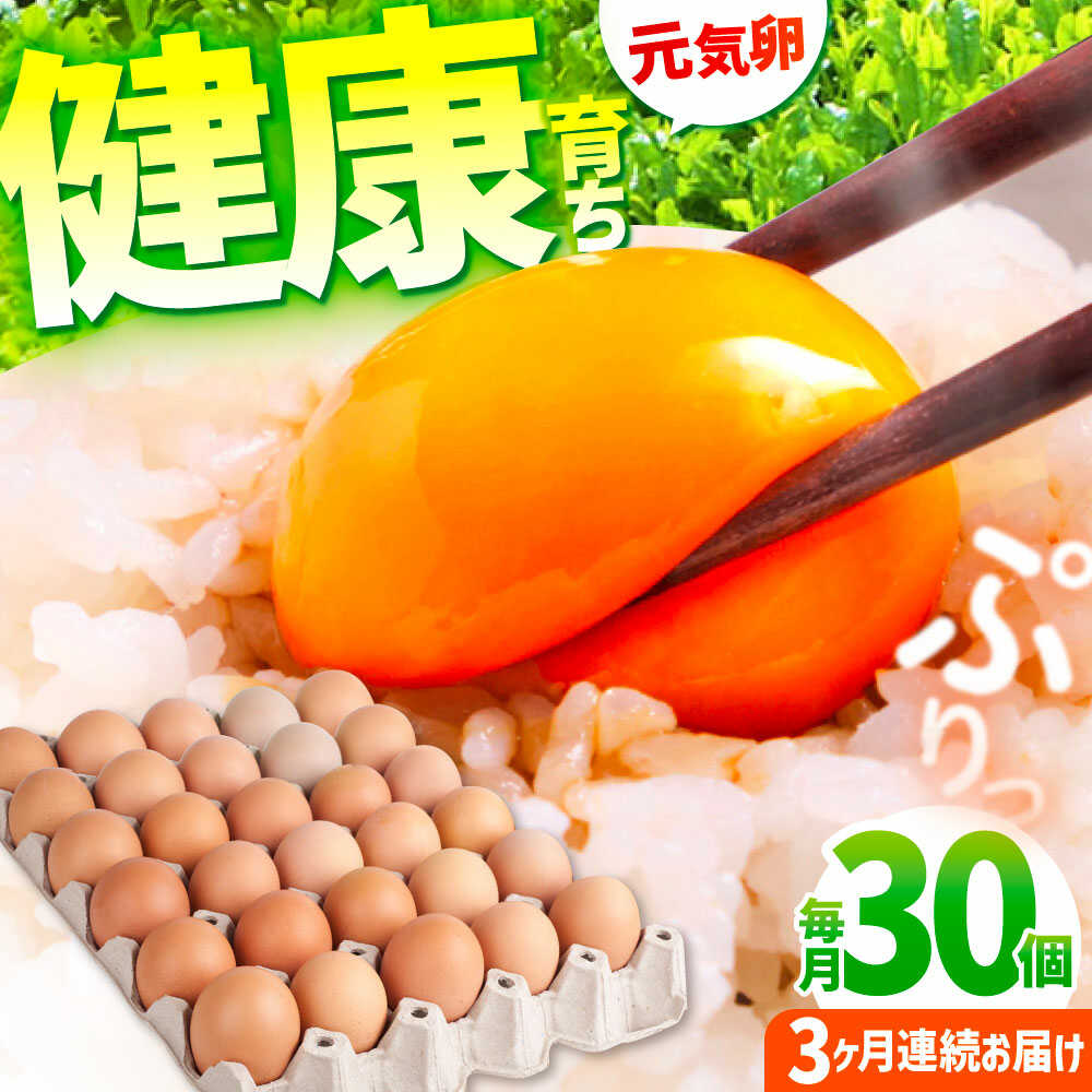 楽天市場】【ふるさと納税】【3回定期便】お茶と海藻で健康育ち 元気卵