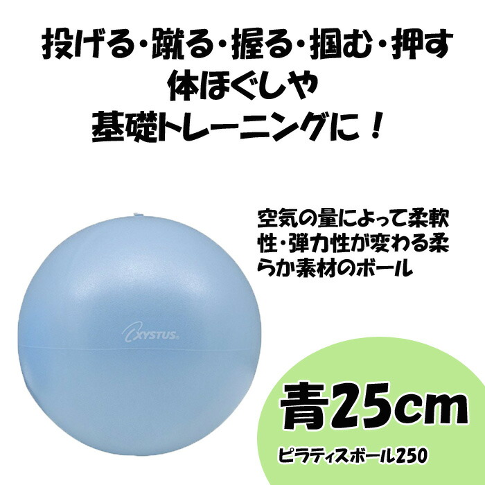 StyliBall エクササイズボール 青 StyliBall エクササイズボール 青 体