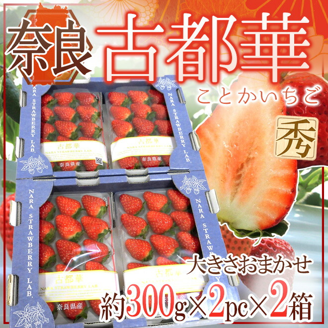 奈良県産 ”古都華いちご” 2pc×《2箱》（1pcあたり 約300g）【予約 12月