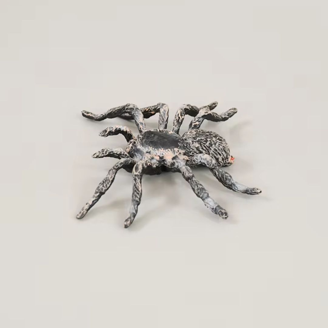 楽天市場】【普通郵便発送】 ハロウィン装飾 リアルスパイダー 置物