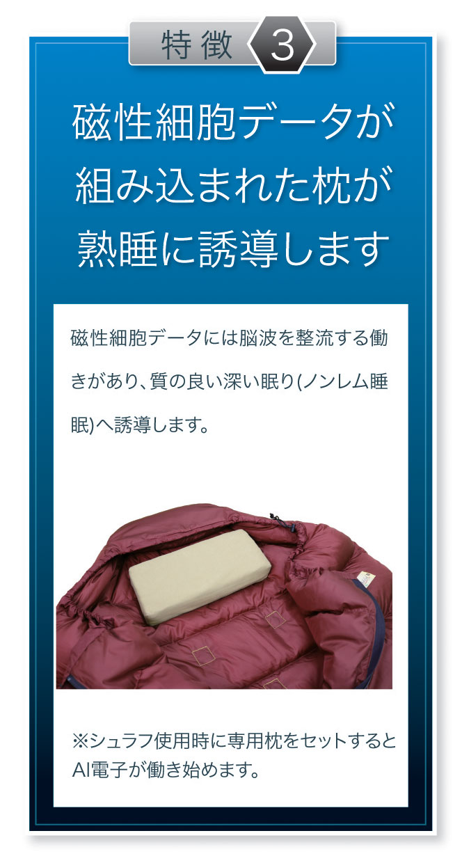 楽天市場】湧命力・パワーシュラフ 2（専用枕付） : リヨ楽天市場店