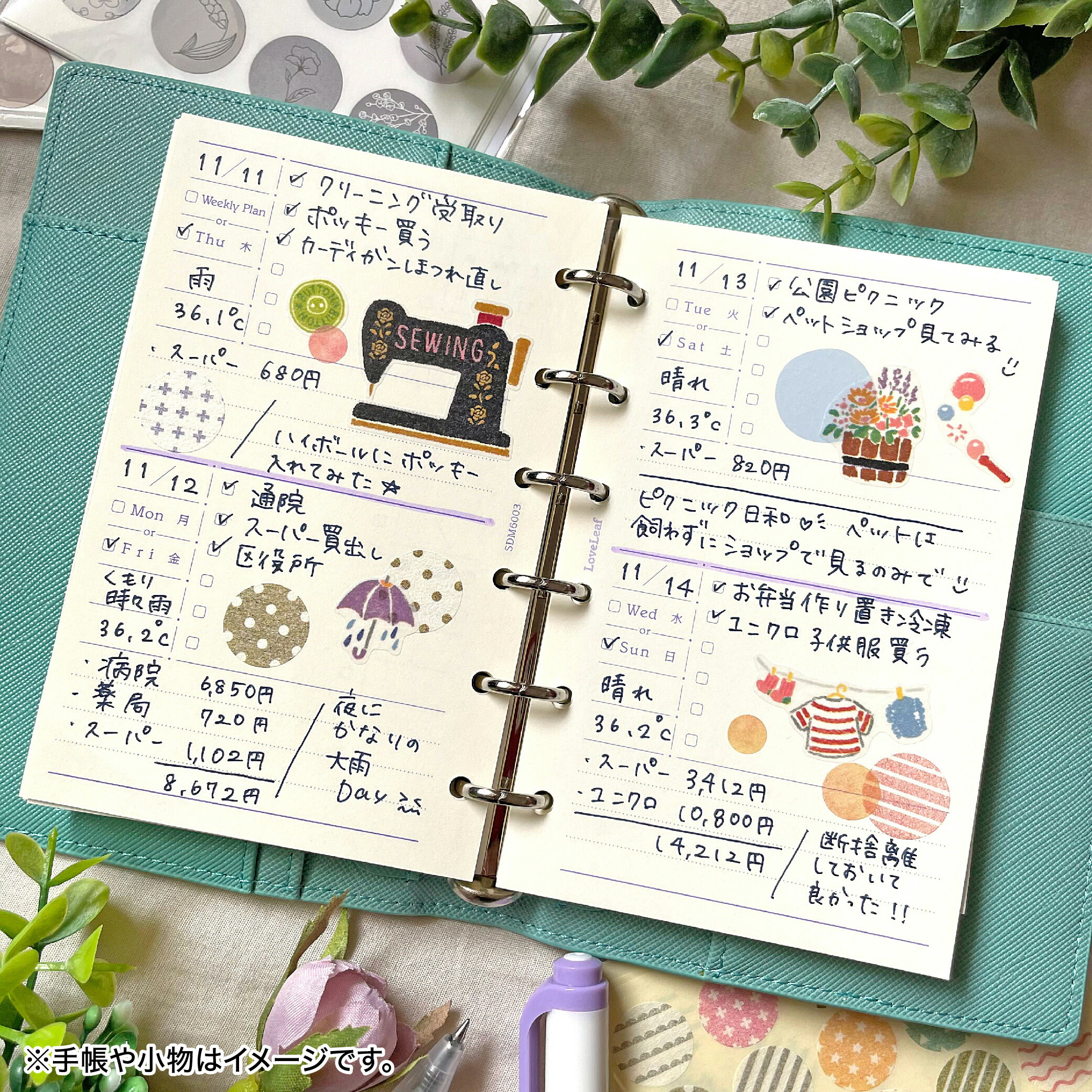 楽天市場】システム手帳 リフィル ミニ6穴 ウィークリー 日付なし