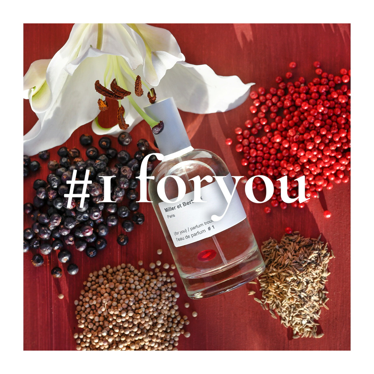 楽天市場】Miller et Bertaux 【オードパルファンお試しサイズ2ml