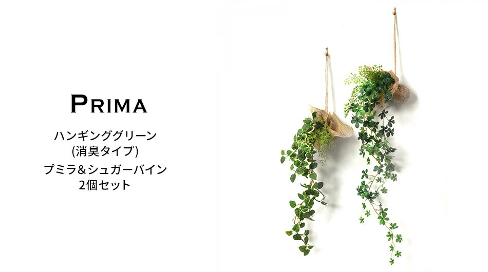 楽天市場】ハンギンググリーン 消臭タイプ プミラ シュガーバイン 2個